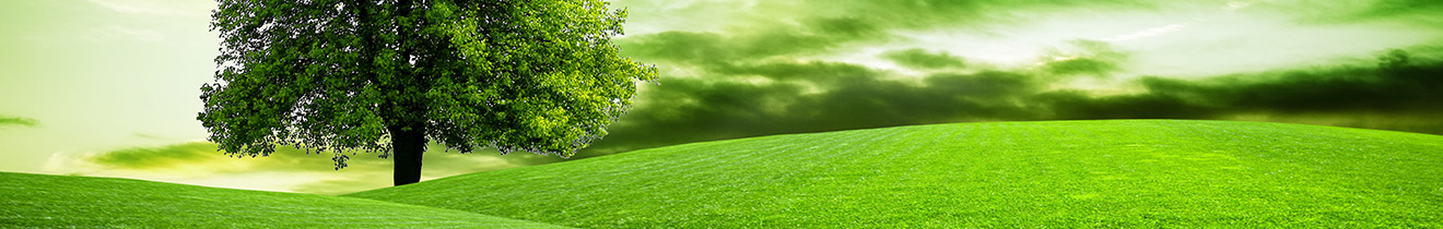 Environment